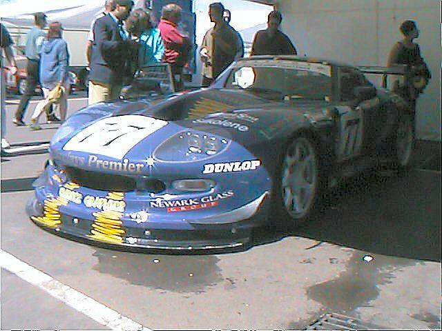 Mantis in BH paddock